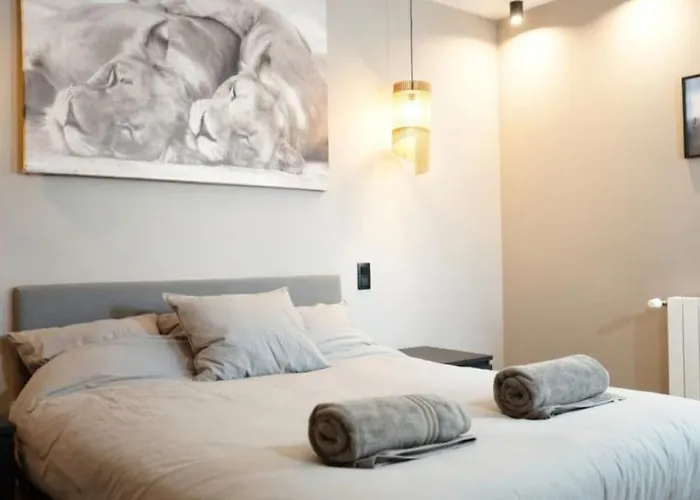 Familial 6 Pers Balneo Proche Pairi Daiza * Brugelette