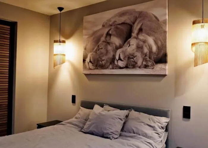 Familial 6 Pers Balneo Proche Pairi Daiza *